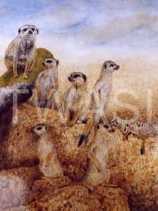 'Posers' by Jacqui Franks Framed 47 x 57 Water Colour £235