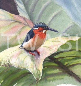 'Large Leaf Small Kingfisher' by Jennifer Horn Watercolour Framed 45 x 45 £200