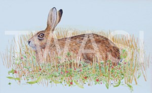 'Brown hare and scarlet pimpernel' by John Horton Framed 32 x 24 Watercolour £245