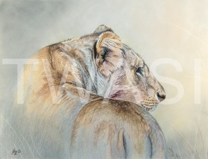 'Mara Mirage' by Julie Longdon Mixed media Framed 52 x 46 £695