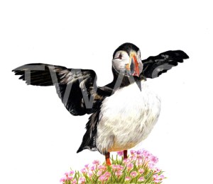 'Ready For The Off!' by Karen Markham Coloured Pencil Unframed 38 x 38 £125