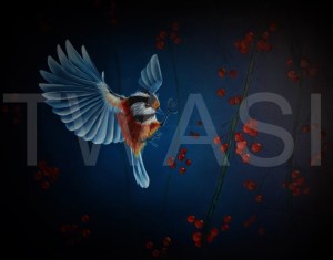 'Berries for Breakfast' by Laura Gibbons Oils on Canvas Framed 50 X 60 £375