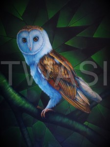 'Emerald Owl' by Laura Gibbons Oils On Board Framed 70 X 52 £495