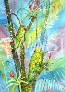 'Red Lored Parrots' by Linda Travers Smith Watercolour Unframed 30 x 50 £225