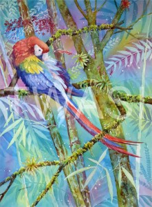 'Scarlet Macaw' by Linda Travers Smith Watercolour Unframed 30 x 50 £235