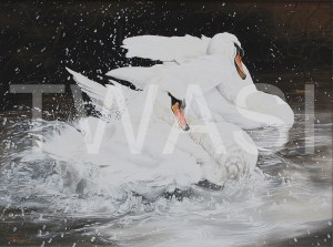 'Bath Time' by Martin Horsfield Gouache Framed Size 89.5 x 74.9 £795