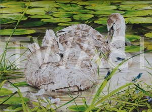 'Lazy Days' by Martin Horsfield Gouache Framed Size: 85.7 x 71.8 £795