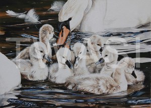 'The New Arrivals' by Martin Horsfield Gouache Framed Size: 44.4 x 37.5 £295