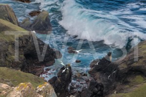 'Breaking Wave II' by Martin Raskovsky Digital Manipulated Photography Unframed and un-mounted 40x60 Price £180