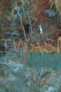 'Ermintrude II' by Martin Raskovsky Digital Manipulated Photography Unframed and un-mounted 40x60 Price £180