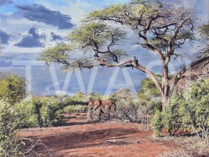 'After the rain' (Samburu Kenya) by Neal Griffin 61 (h) x 76 (w) Framed / 50 (h) x 65 (w) unframed Oil £950