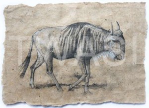 'Wildebeest' by Neal Griffin Pencil on handmade paper 43 (h) x 53 (w) Framed / 28 (h) x 38 (w) unframed £190