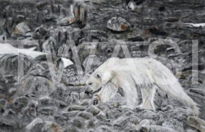 'What No Mint' by Nick Barker Pastel Framed 66cm x 48cm £345