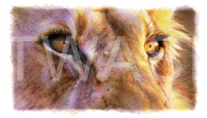 'King of What' by Nick Day Mixed pencil on linen board Framed 38x29 £1200