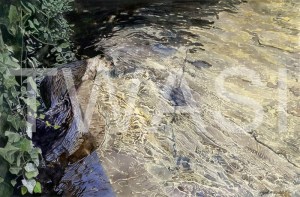 'Brief Encounter' by Nigel Buckels Watercolour Unframed 51 x 33 £550