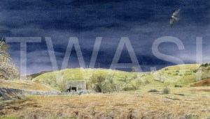 'Storm Approaching' by Nigel Buckels Watercolour Unframed 44 x 26 £390