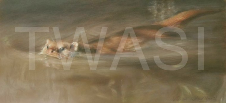 Out of the shadows by Vivien vivien.walters@btinternet.com http://www.vivienwalters.co.uk