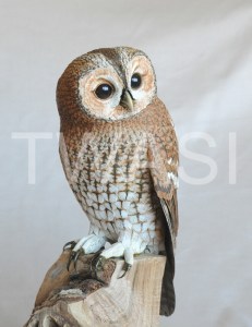 'Tawny Owl' by Pam Knight Mixed media sculpture 37 x 23 x 15 £1,850