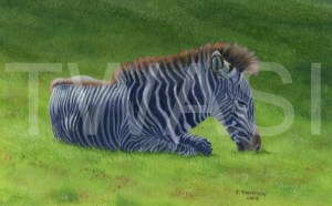 'Just 5 minutes' by Pauline Thompson Acrylic Unframed mounted 25.5 x 30.5 £165