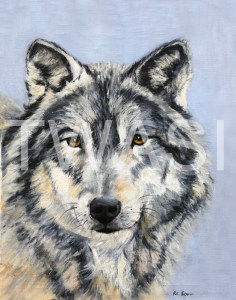 'Gaze of a Wolf' by Ros Rouse Oil on canvas Unframed 40 x 30 £395