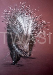 'Snuffling in the Dusk' by Ros Rouse Pastel on paper Framed 46 x 50 £495