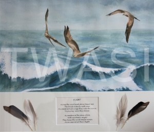 'Flight' by Ruth Baker Walton Watercolour & feather collage Framed size 60 x 50 £150