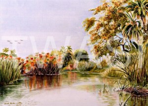 'Reflections' by Ruth Baker Walton Watercolour Framed 57 x 47 £105