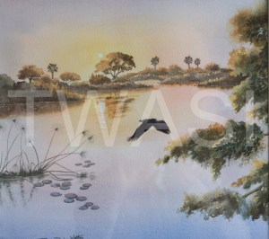 'Shades of Sunset' by Ruth Baker Walton Watercolour Framed size 50 x 47 cms £105