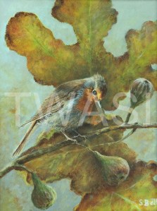 'Robin with Figs' by Sandy Bell Acrylic Framed 33.5 x 26 cms Price £225