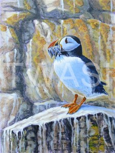 'Catch of the day' by Sarais Crawshaw Acrylic on canvas Unframed 41 x 30 £250