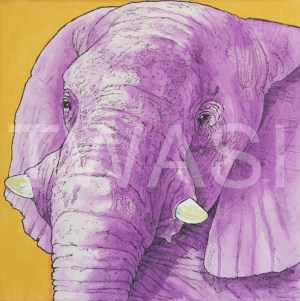 'Imperial Elephant' by Stephen Hand Acrylic with glitter Unframed 40 x 40 £300