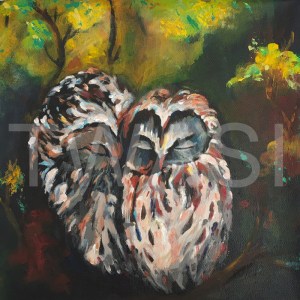 'Owl 2' by Varsha Manglam Acrylic on canvas Unframed 30x30 £40