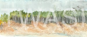 'Raven Beach' by Elle Salt Watercolour 17.5 x 40.5 £220