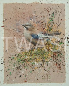 'Jay' by David A Finney Unframed Acrylics on handmade paper on deep edged canvas 40 x 50 x 04 £250