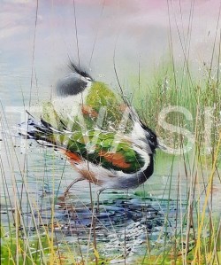 'Lapwings' (framed) by David A Finney Framed Acrylics 56 x 66 £725