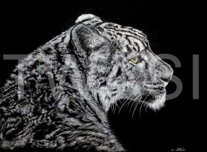 'Over my Shoulder' by Eric Watson Mixed Media 50.8 x 40. 64 £349