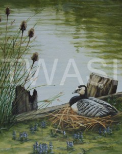 'Lakeside Nest' by Frances Sullivan Acrylic Unframed 33 x 38 £135