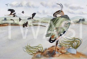 'Flying in Fear' by Helen Miller Watercolour Framed 53 x 42.5 £250