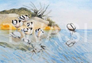 'Sshhh' by Helen Miller Watercolour Framed 43 x 43 £250