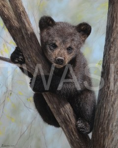 'Little Bear' by Julia Dubinina Soft Pastel on paper 40 x 50 £730 shipping included