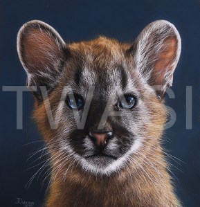 'Little Puma' by Julia Dubinina Soft Pastel on paper In frame, with museum glass 28 x 61cm (without frame), 44 x 77 (with frame) £930 shipping included