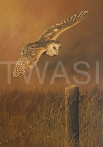 'Clear to Land' by Nick Dawe Acrylic Unframed 42 x 30 £220