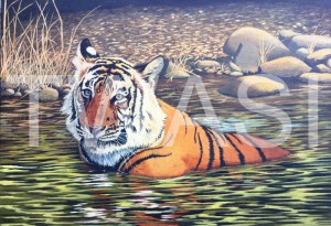 'Cooling Off' by Nick Dawe Acrylic Unframed 60 x 42 £395