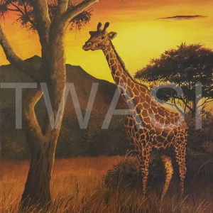 'Darkest Africa' by Nick Dawe Acrylic Unframed 42 x 30 £220