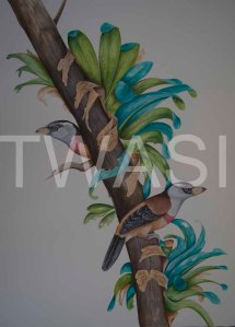 'Toucan Barbets' by Paul Brainch Watercolour 76.2cm x 55.8 £400