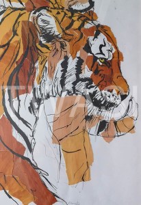 'Tiger Unrest' by Russell Vernalls Collage and Indian ink Framed 80 x 59.5 £255