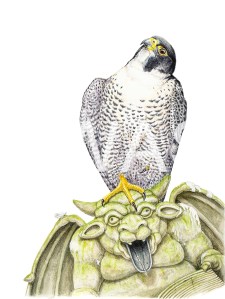 'Pilgrim' by Tracey Anne Sitch Watercolour 40 x 50 £200