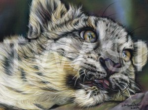 'Dreamer' by Susan Baxter Pastel Unframed 36cm x 31cm £225