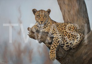 'The afternoon Rest' by Vera Evseeva Pastel Pencils and Soft Pastel Framed 80 x 60 £630