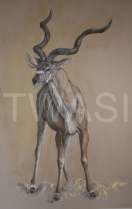 'Greater Kudu' by Yvonne Lamden Cooper Pastel and Gold Leaf Framed 84 x 57 £1,200